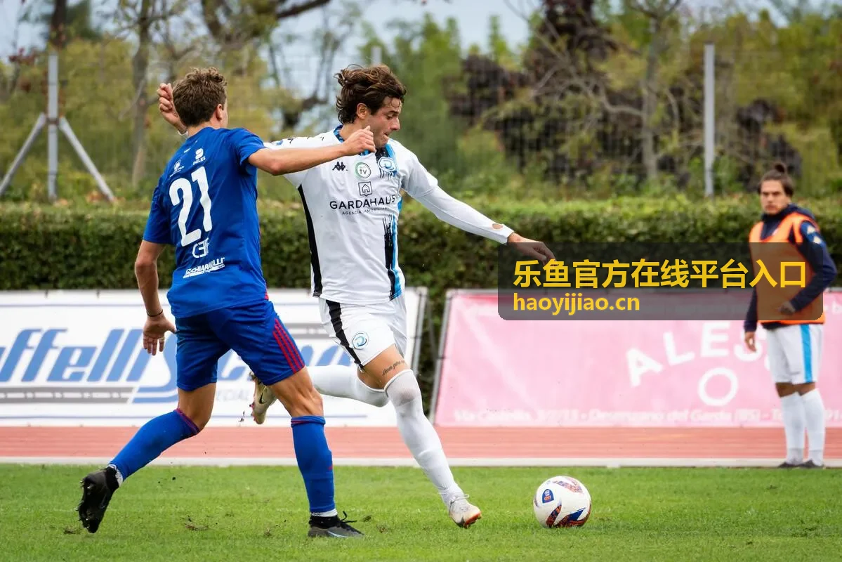 乐鱼官方在线平台入口环境自查